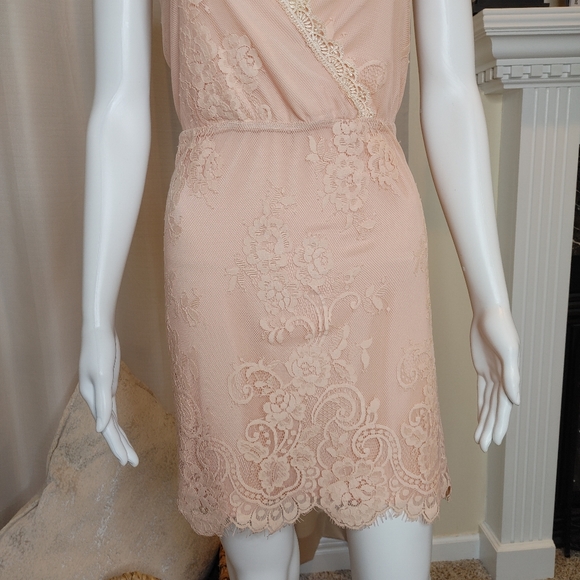 LOVERS + FRIENDS ART DECO LACE OVERLAY DRESS, BLUSH/CREAM XL - Picture 5 of 14